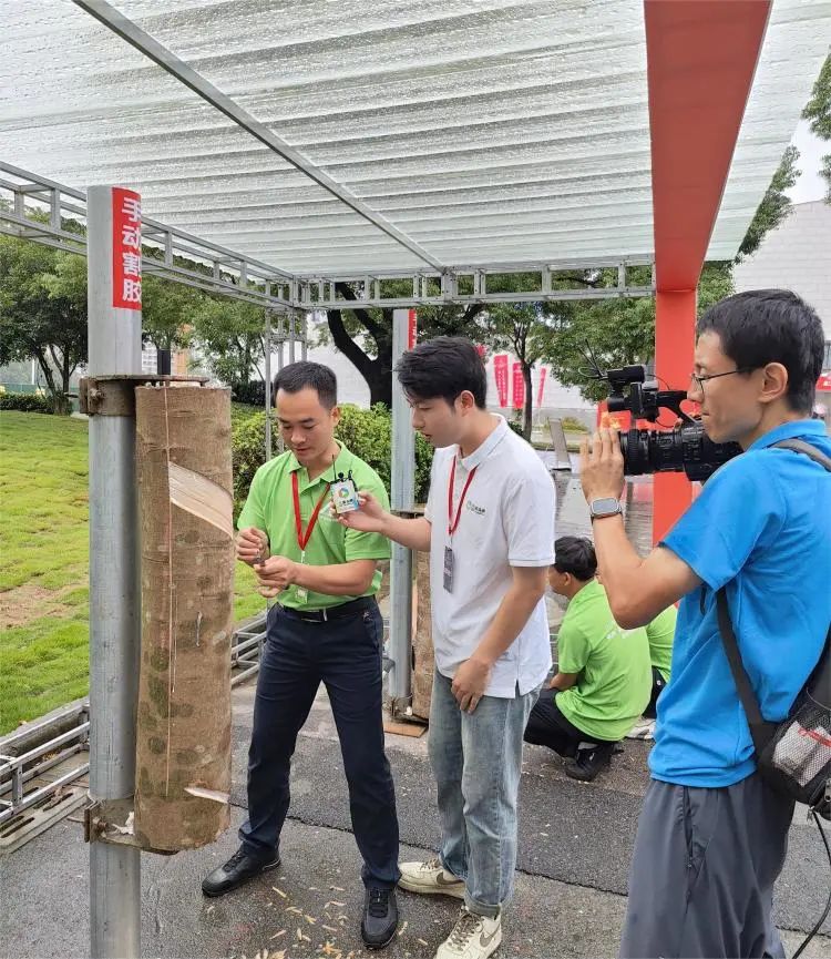 ����yl23455����