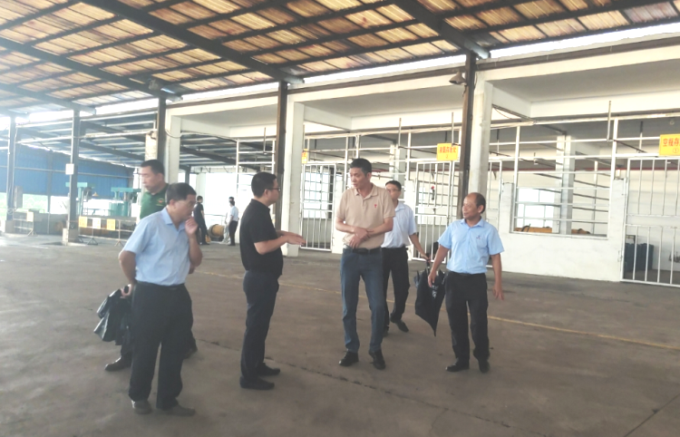 ����yl23455����