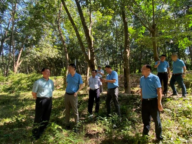 ����yl23455����